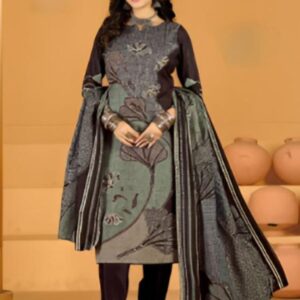 modern ethnic fashion suit ✨